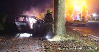 Auto vliegt in brand na frontale botsing tegen boom