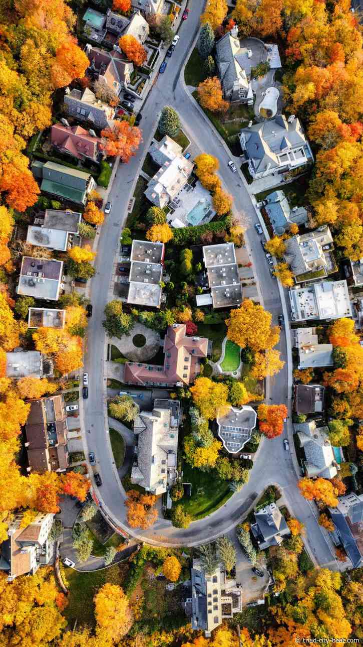 From Community Halls to Screen Sharing: The Evolution of Social Play in Montreal’s English-Speaking Suburbs