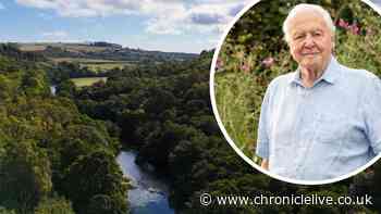 Sir David Attenborough celebrates as deal to buy Northumberland estate is sealed