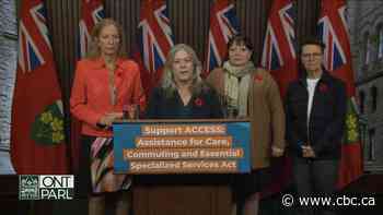 Windsor MPP pushes for provincewide medical travel grant to help families access specialized care