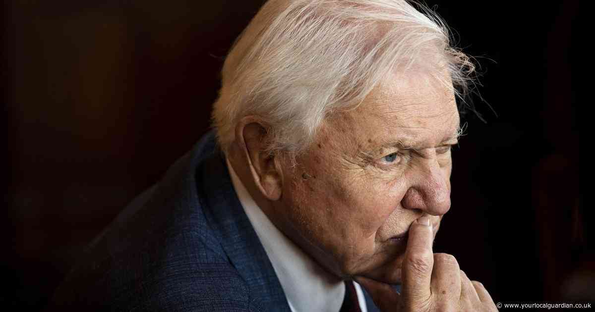Sir David Attenborough issues heartfelt message as he thanks the public