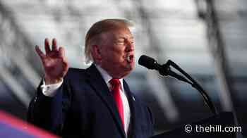 Trump to join tele-rallies 19 states after midterm event cancellations