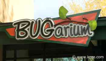 ABQ BioPark unveils renovated BUGarium