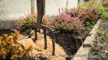 Gut durch den Winter: Was der Gartenboden jetzt braucht