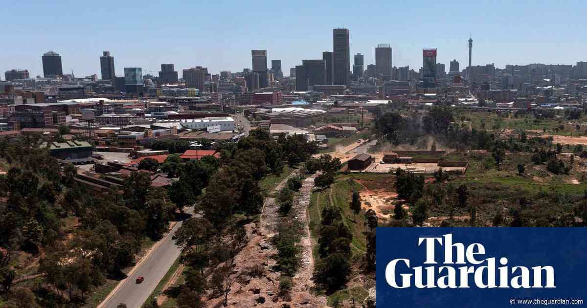 Sinkholes, scarred land and scapegoats: the scourge of illegal gold mining in Johannesburg
