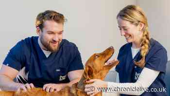 Vet warns 'fishy' smell on your dog could mean they're hiding severe pain