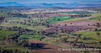 Red hot property auction shows blue ribbon cattle country is in demand | Video