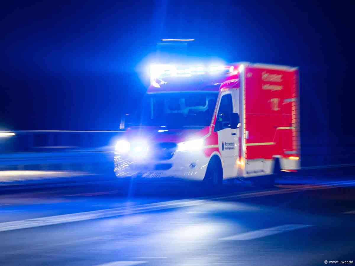 Windeck: Pferd stirbt bei Unfall mit Rettungswagen