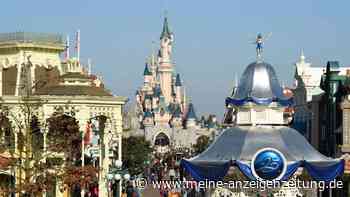 Zuerst verspottet – Holländer finanziert seiner Familie einen Disneyland-Trip auf ganz besondere Art