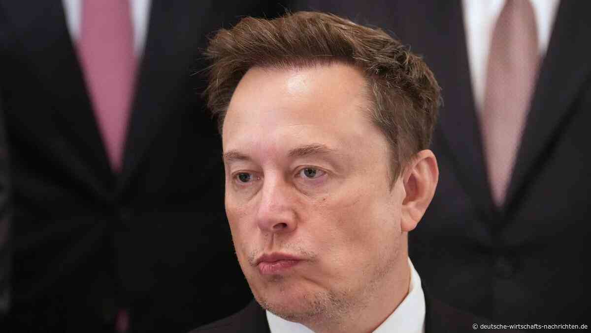 SpaceX-Domain in Slowenien: Kann Elon Musk einem Privatmann seine Internetadresse einfach wegnehmen?