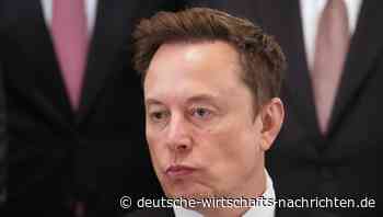 SpaceX-Domain in Slowenien: Kann Elon Musk einem Privatmann seine Internetadresse einfach wegnehmen?