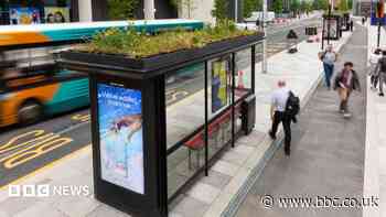 Mini-gardens for bees on bus stop roofs approved