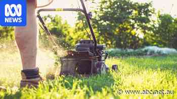Here's how to prep your garden as an 'exceptional' El Niño approaches