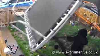Moment 'shocked and shaking' Yorkshire gran is almost taken out by flying trampoline