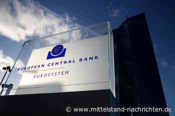 DIW bezeichnet Zinspause als „riskant“