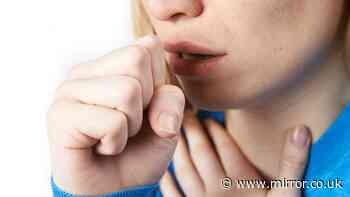 UK Friday 'cough' warning of 'Victorian disease' resistant to antibiotics