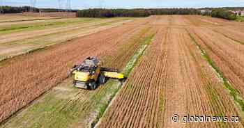 Quebec farmers say proposed high-speed rail threatens their land, livelihoods