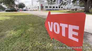 Early voting enters final weekend in Tampa Bay area