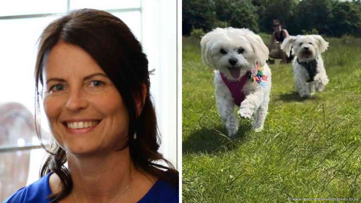 Speeding driver killed mum and two dogs days before Christmas