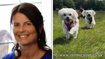 Speeding driver admits causing death of woman and two dogs days before Christmas