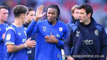 12 players could miss Wolves v Cardiff City as big stars set to return