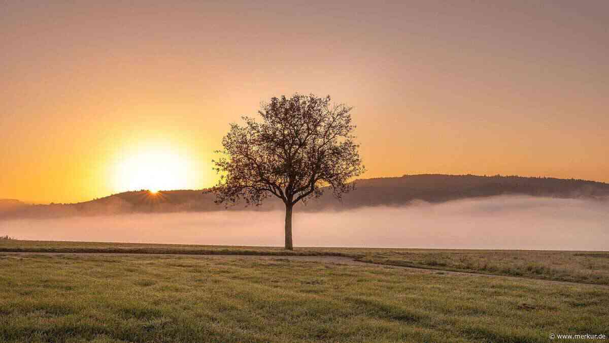 Bauernregel: „Hat Allerheiligen Sonnenschein …“ – kommt jetzt die große Kälte?