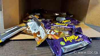 Has your Halloween candy vanished? You may have fallen for the trick of the treat