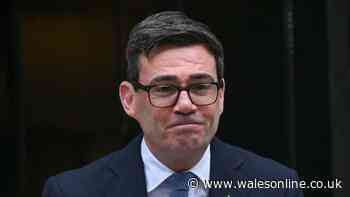 'I want to put power back in the hands of the Welsh people'