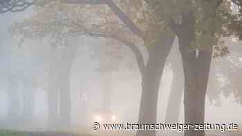 Nebel in der Region Braunschweig-Wolfsburg: Bleibt er auch zu Halloween?