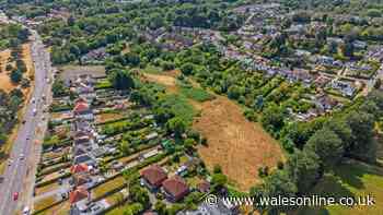 Huge plot of land in Swansea where Asda was proposed goes on sale