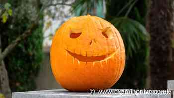 Simple Halloween 'mistake' could cost homeowners £50k
