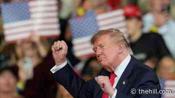 Live updates: East Potomac Park fight returns to court; Trump set to rally in Daytona Beach