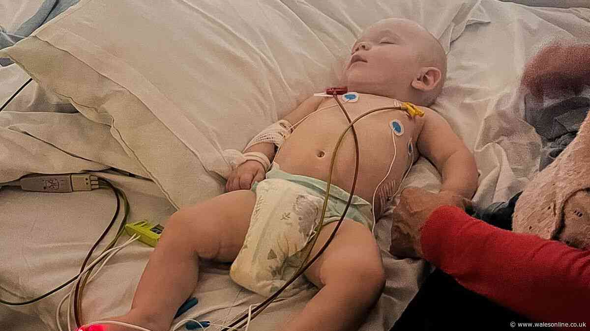 Mum says baby's life saved after dog 'wouldn't leave his side'