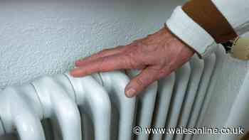 When to switch your heating on in winter to stay warm without huge bills