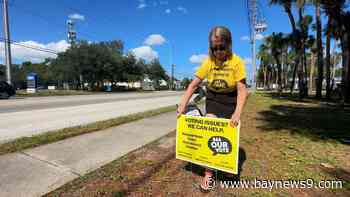 Pinellas County volunteers join nonpartisan poll monitoring effort