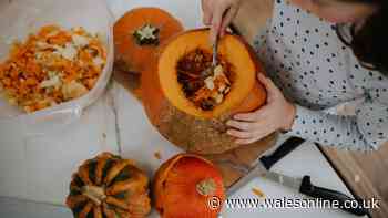 You're disposing of pumpkins incorrectly – and wildlife could be left at risk