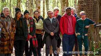 Traitors viewers slam 'major flaw' with celebrity spin-off after history making series