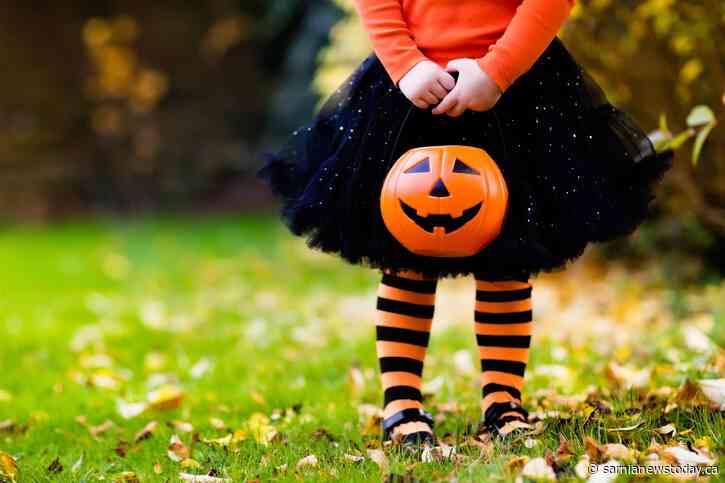 Sarnia police release Halloween safety tips