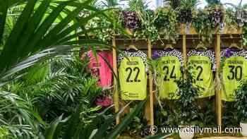The Bushtucker dressing room! 'Woke' football club to make players change in a sea of 60 HOUSEPLANTS 'to reduce stress' - after banning meat pies and making their kit vegan