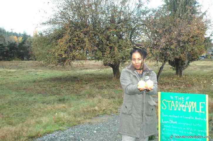 Historian hopes to save heritage apple tree in south Nanaimo