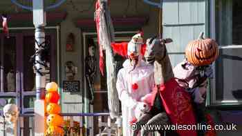 What you can legally do if trick-or-treaters cause a nuisance at your property
