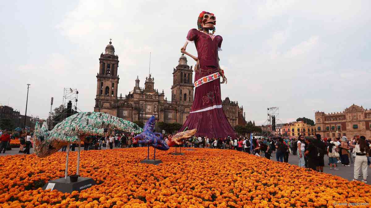 World’s tallest Day of the Dead sculpture erected in Mexico City