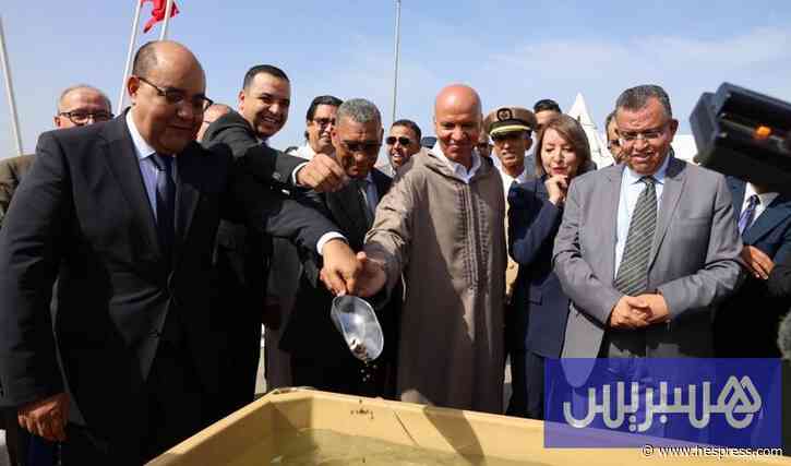 مزرعة لتربية الأسماك في سيدي إفني