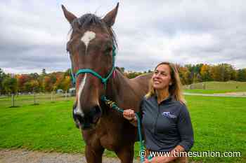 Helping horses and healing humans at Therapeutic Horses of Saratoga