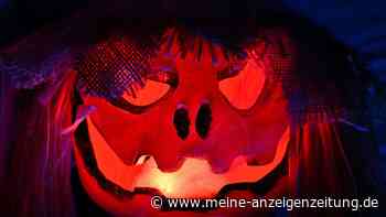 „Religiöse Überzeugungen“ an Halloween: Warum die Polizei jetzt Plakate für Haustüren verteilt