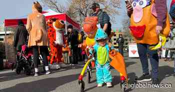 Maritime communities join movement to make Halloween accessible for all children