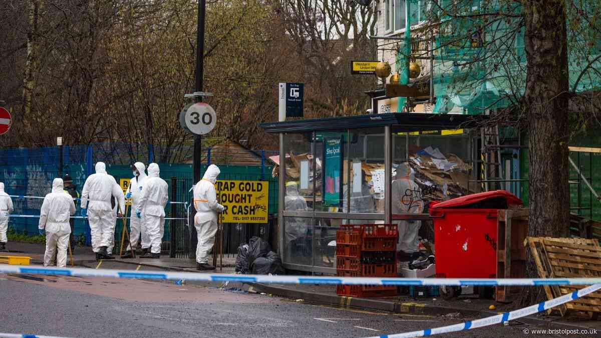 Teen accused of Stapleton Road murder laughed and joked as police searched him in park