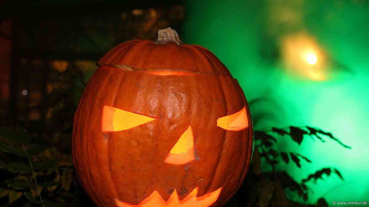 Angstforscher erklärt: Warum Gruseln an Halloween gesund ist