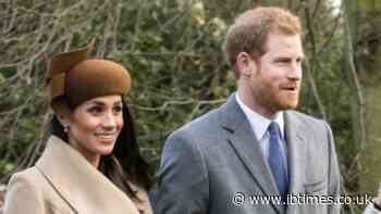 Harry, Meghan Deliberately Not Trying To Overshadow Charles, William Doesn't Convince Ex-Royal Security Chief