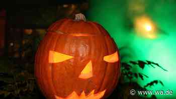 Angstforscher erklärt: Warum Gruseln an Halloween gesund ist